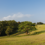 ReservaVillagePrado_4