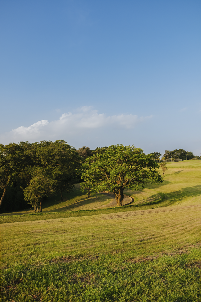 ReservaVillagePrado_4